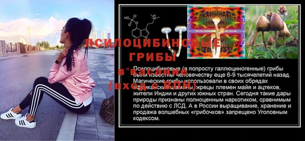 винт Баксан