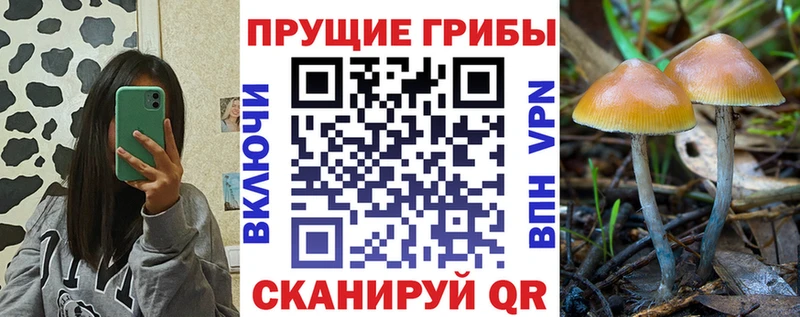 Галлюциногенные грибы мицелий  Купить закладки  Сальск 